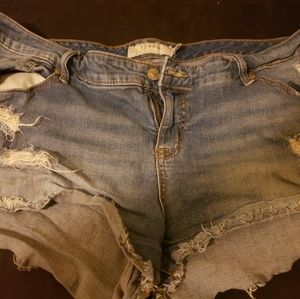 Torrid short shorts